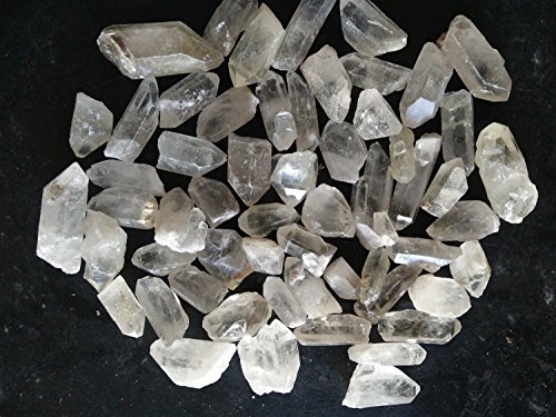 Natural Rough 2 lbs Crystal Quartz Point 2inch Size 20pcs up For Healing and Gift Use