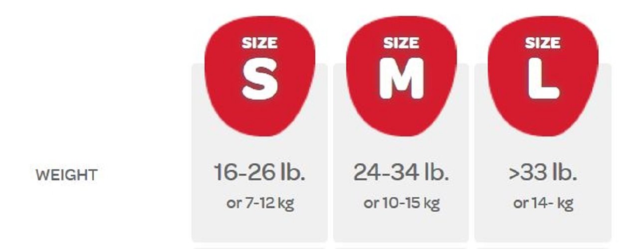 swimming nappies size 2