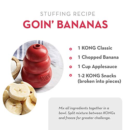 KONG Biscuit Ball and Peanut Butter Snacks Treat Dispensing Toy