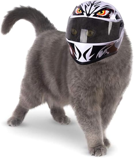 Chapeau De Chat Amusant Decoration De Voiture Petit Casque Avec Ours A Poils Helmet Amazon Ca Maison Et Cuisine Chapeau De Chat Amusant Decoration De Voiture Petit Casque Avec Ours A Poils Helmet Amazon Ca Maison Et Cuisine