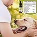 Hemp Oil for Dogs and Cats 500mg Helps Relieve Anxiety with a Full Spectrum of Hemp Extract for Pets, Helps with Pet Hips and Joint Relief with a Calming Effect for Your Cat or Dog