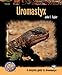 Uromastyx (Complete Herp Care) by John F. Taylor