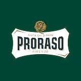 Proraso Shaving Foam 300ml Green Eucalyptus Menthol Made in Italy view 6