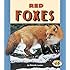 Red fox: The Catlike Canine (Smithsonian Nature Book): J David Henry