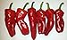 Aleppo Pepper 10+ Seeds Very rare by Seeds and Things
