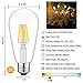 YFXRLIGHT Antique LED Bulbs Soft Warm White 2700K, 8W ST64 Dimmable Vintage Edison LED Bulbs, 80W Equivalent, Squirrel Cage Filament Bulb, 680 Lumens, E26 Clear Glass, Pack of 6(2 Year Warranty)