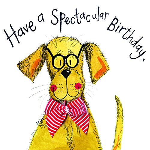 Alex Clark Have a Spectacular Birthday Card - Retriever - Designed and Printed in UK