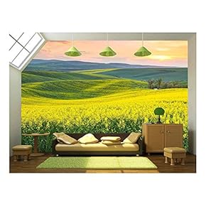 Spring Fresh Landscape of Colorful Fields, Sunrise Sky and Beautiful Hills Valley - Removable Wall Mural | Self-Adhesive Large Wallpaper - 66x96 inches
