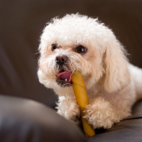 Hartz Oinkies Dog Treats - Image 4