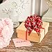 UNOMOR Gift Pull Bows for New Year Gift Christmas Decorations Pack of 12