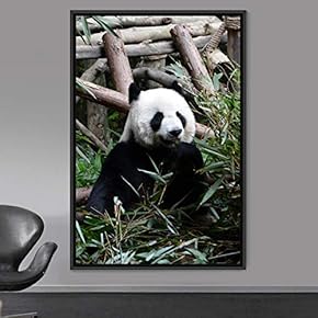signwin Framed Canvas Wall Art Panda Animals Bear...