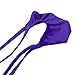ACSUSS Men's Grape Smugglers Micro Pouch Thongs V-String Bikini Briefs Underwear Purple Medium(Waist 33.0-55.0