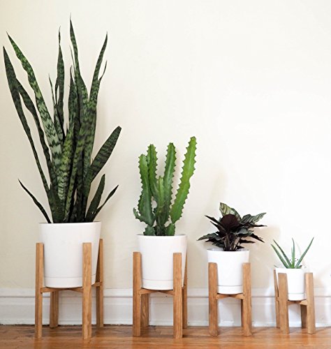 Mid Century Modern Plant Stand