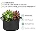 MEARTEVE 10 Pack 10 Gallon Premium Grow Bags, Heavy Duty Nonwoven Fabric Plants Pots with Handles, Indoor & Outdoor Grow Containers for Vegetables and Fruitsthumb 4