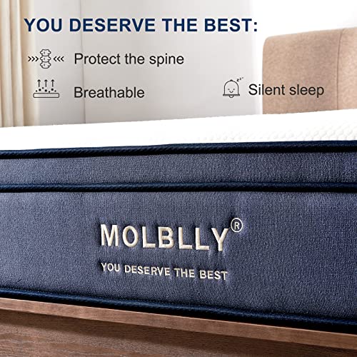 King Mattress, MOLBLLY 10 inch Hybrid Spring Mattress in A box ,King