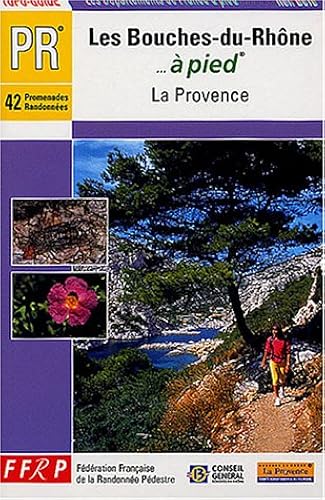 Download Les Bouches-du-Rhône à pied PDF