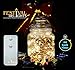 Festival Delights Fairy Lights- LED String Lights with Remote and Timer (60 LEDs)