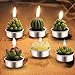 Outee Cactus Tealight Candles 12 Pack Handmade Delicate Succulent Cactus Candles Flameless Aromatherapy 12 Designs for for Birthday Party Wedding Spa