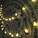 USB Globe String Lights with Remote, AMARS 8 Mode 16.4ft 50 LED Indoor Fairy Lights with Timer for Bedroom, Garden, Tapestry, Party,Wedding, (Warm White, Dimmable)