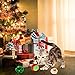 PUPTECK 9 PCS Christmas Cat Toys Set - Cat Collar, Soft Ball, Catnip Bag, Pet hat, Plush Toys, Crinkle Ball, Red Bow