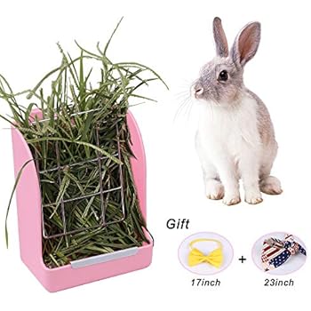 Amazon Com Sungrow Rabbit Hay Feeder Rack 7x6 Inches Mess Free