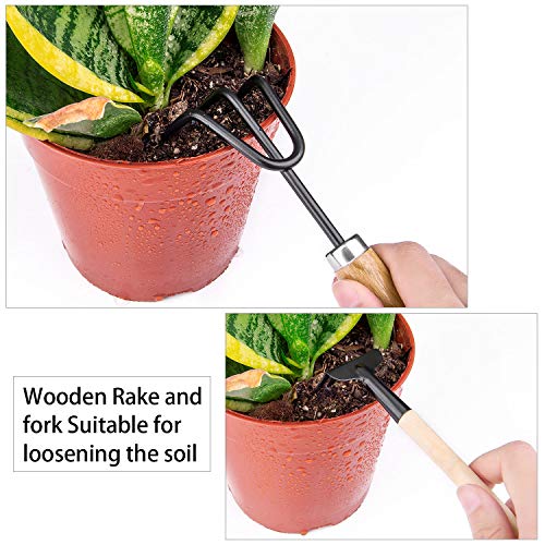 Bonsai Tools Kit 9 PCS for Starter - Fold Scissor, Brush, Tweezer, Mini Rake, Shove Weeding Fork Set - Thumbnail 5