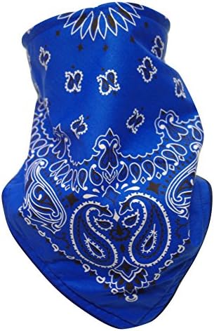 Fierce Face Protection Fleece Lined Bandana Royal Paisley