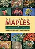 An Illustrated Guide to Maples (Illustrated Guides) by 