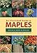 An Illustrated Guide to Maples (Illustrated Guides) by 