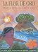 Flor De Oro: Un Mito Taino De Puerto Rico (Spanish Edition) by 