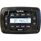 Infinity INF-PRV250 AM/FM/Bluetooth Multimedia Receiver Only