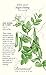 Sugar Daddy Snap Pea Seeds - 60 grams - Botanical Interests