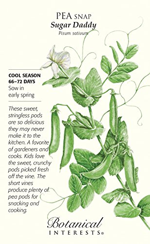 Sugar Daddy Snap Pea Seeds - 60 grams - Botanical Interests Sugar Daddy Snap Pea Seeds - 60 grams - Botanical Interests