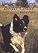 Understanding Border Collies by Barbara Sykes