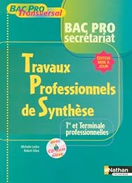 Travaux professionnels de synthèse