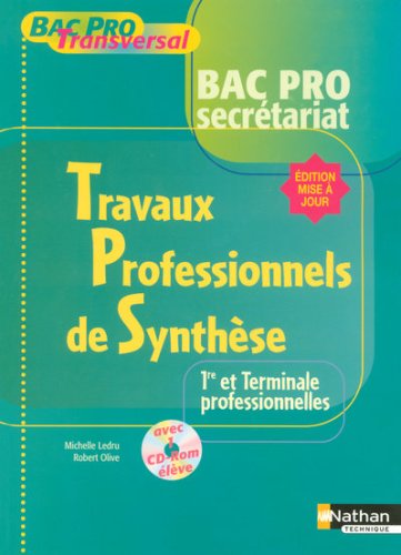 Travaux professionnels de synthèse