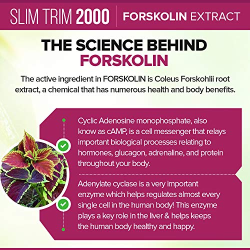 image for Slim Trim 2000 Slim Trim Weight Loss Supplement (Forskolin - Pure Cole