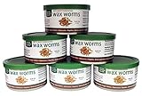 Exotic Nutrition Canned Wax Worms 35 g/ 1.2 oz (6 Pack)