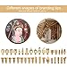Professional level Wood Burning Kit Full Set,71Pcs Adjustable Wood Burning Soldering Iron Pen Tool Kit Set Creative Pyrography Woodburning Burner Electric for Adult Starter Beginner Craft with Case