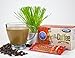 Bio Coffee- First Organic Instant Non-dairy Alkaline Coffee (3 Boxes, 48 total sachets)