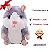Talking Pet Hamster Electronic Animal Plush Toy - Mimics and Repeats After Words & Sounds for Kids Ages 4 - 100, Boys and Girls, Birthdays, Christmas by Neverland(Grey) (gara)