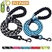 ladoogo 2 Pack 5 FT Heavy Duty Dog Leash with Comfortable Padded Handle Reflective Dog leashes for Medium Large Dogs primary