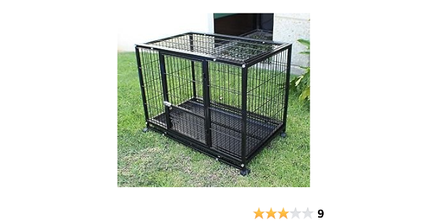 american bully cage