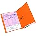 Smead Colored End Tab File Folder, Shelf-Master Reinforced Straight-Cut Tab, Letter Size, Orange, 100 per Box (25510)