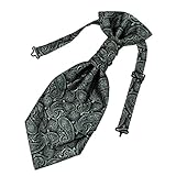 ERB1B04-06 Multicoloured Patterned Ascot Best Mens Microfiber Fashion By Epoint
