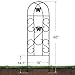 Amagabeli 12 Pack Garden Trellis for Climbing Plants 60