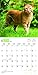 Ginger Cats 2018 Calendar