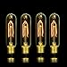 60W Edison Bulb,SerBion Incandescent Vintage Antique Light Bulb, T10 Tubular Filament Dimmable Bulb,E26/E27-110v- 370 Lumens,6-pack