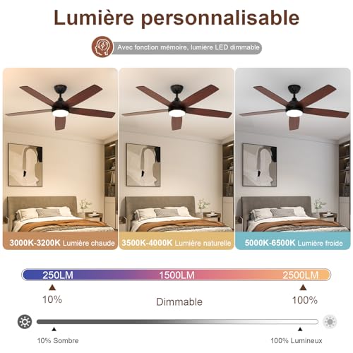 Dorlink Ceiling Fan with Light and Remote Control, 132 cm, Silent DC Motor, Ceiling Fan with Light for Bedroom, Living Room, Kitchen, Black/Walnut
