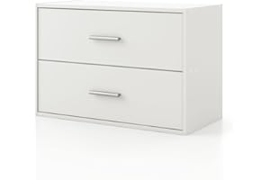 HOMES: INSIDE + OUT Apexa 2-Drawer Wooden Stackable Storage Drawers, Small Food Pantry Cabinet, Cajonera De Madera, Underbed Drawer Dorm Teen Room Decor & Bedroom, Home Office, Kitchen, White